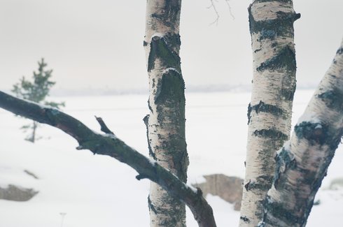 Une manière de se détendre en douceur